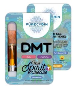 DMT 1ml Purecybin – 700mg DMT